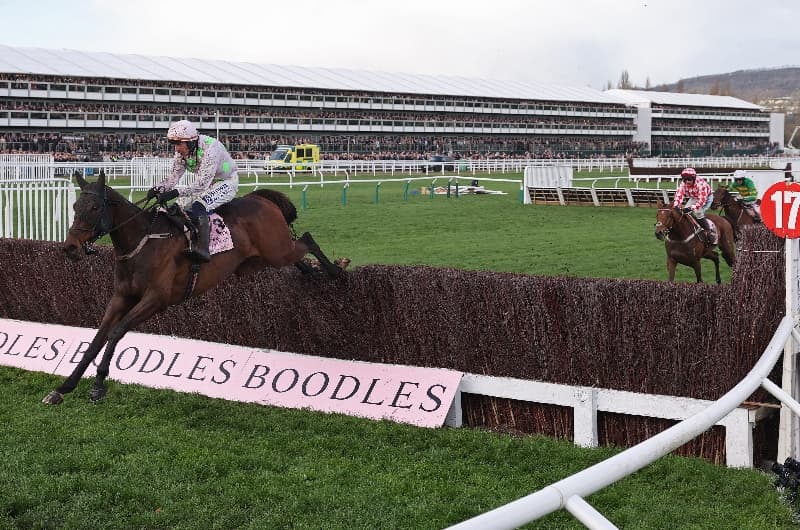 Cheltenham Gold Cup result replay 2026
