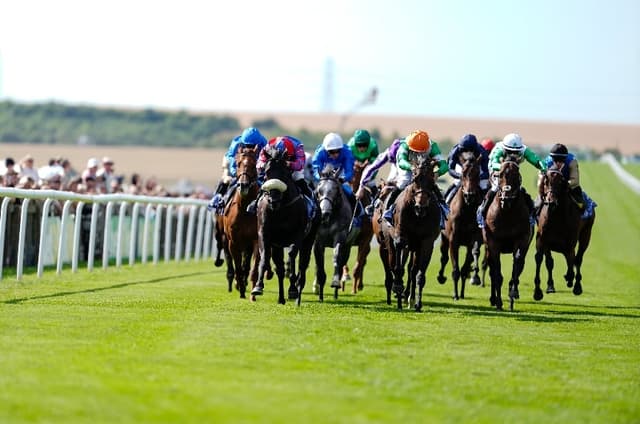 july cup 2026 tips and odds