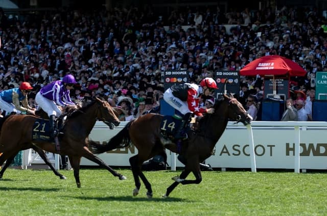 newspaper racing tips July 10th