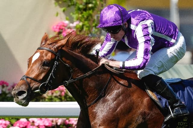 Bet365 Super Boost Precise Falmouth